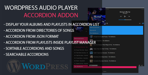 Modern Audio player Accordion AddOn